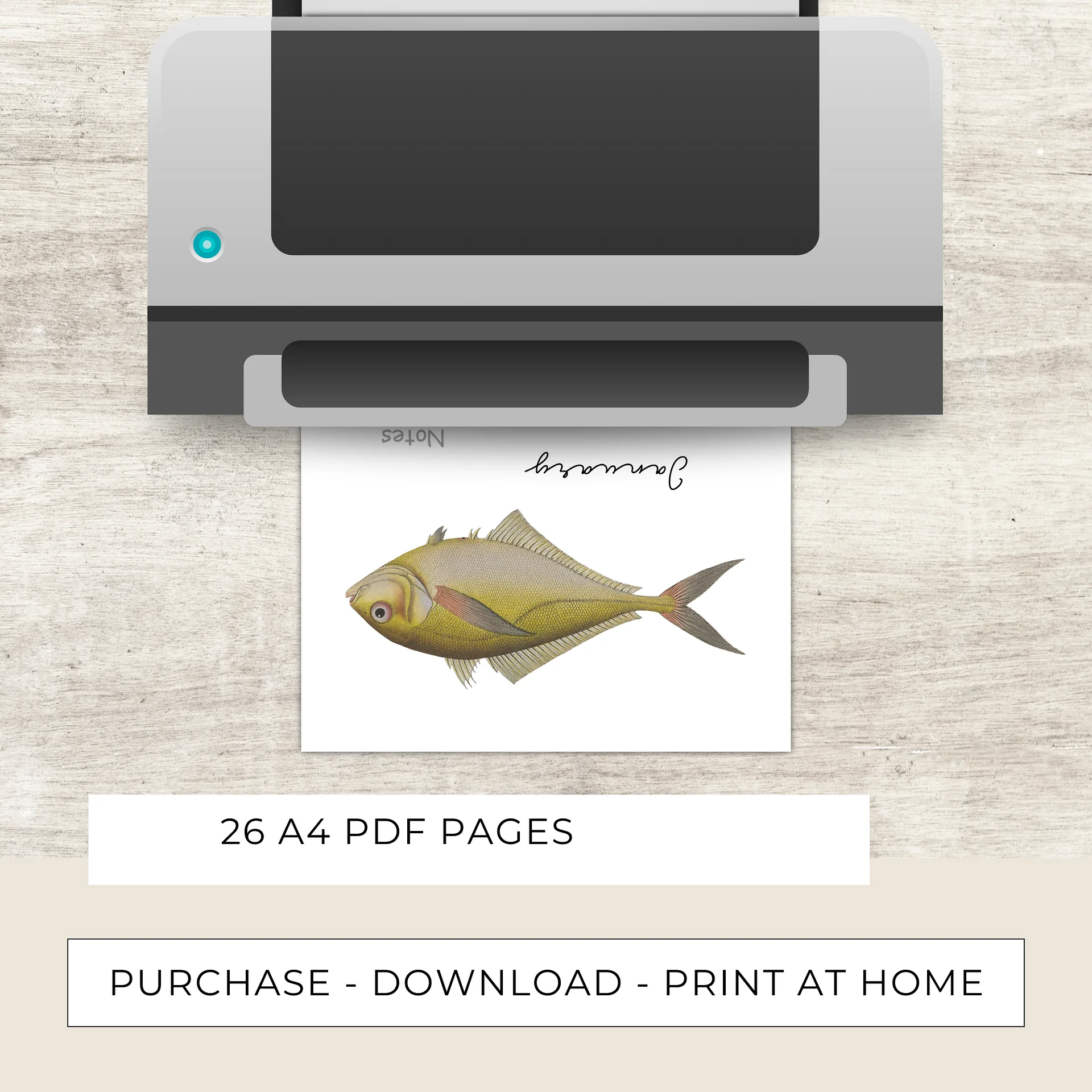 2025- 2026 PDF Calendar: Ocean Life product image (8)