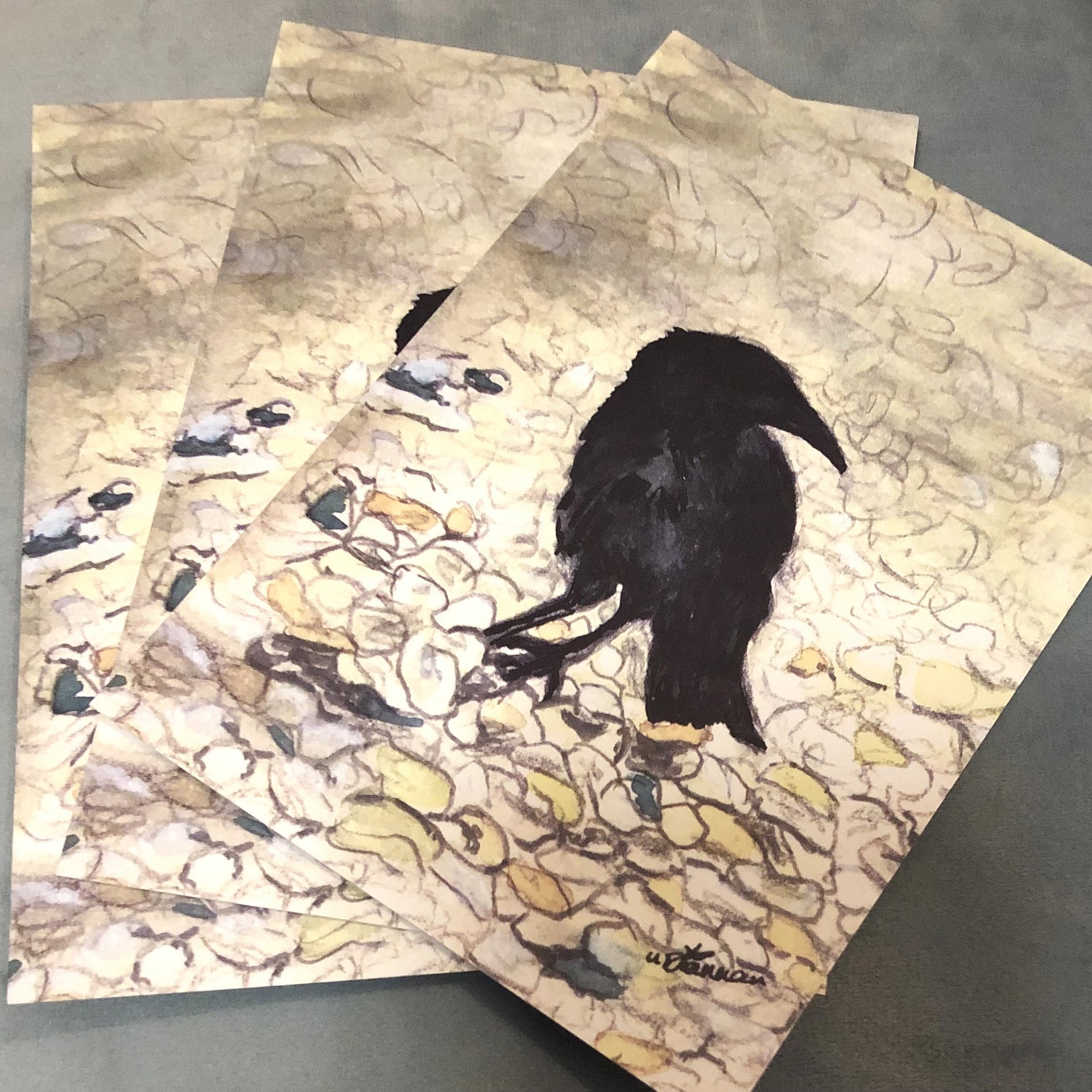 Crow on Pebbles, Hayling Island, Open Edition Signed Postcard A6 product image (1)
