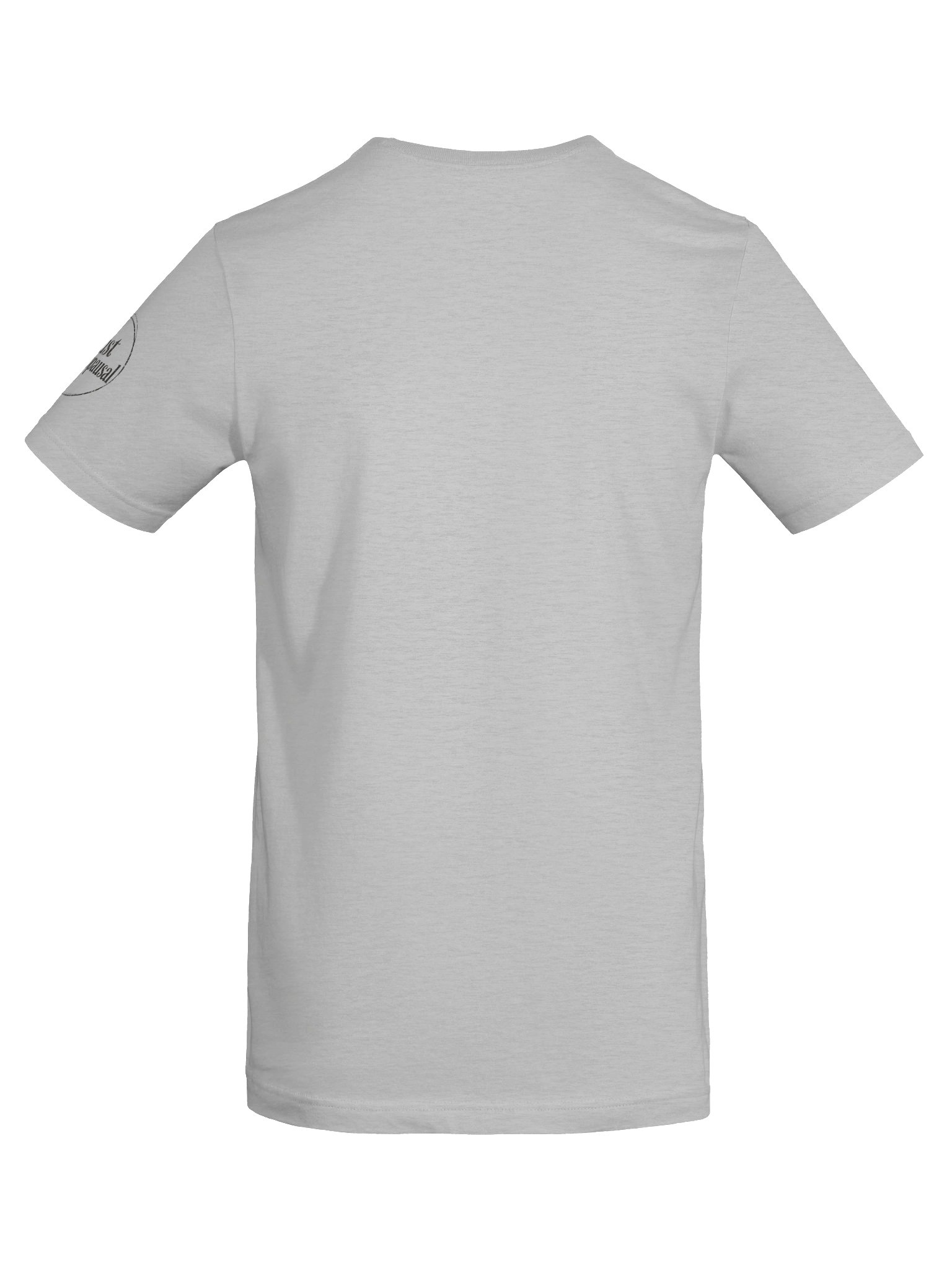 Hot Flash Springs Tee product image (57)