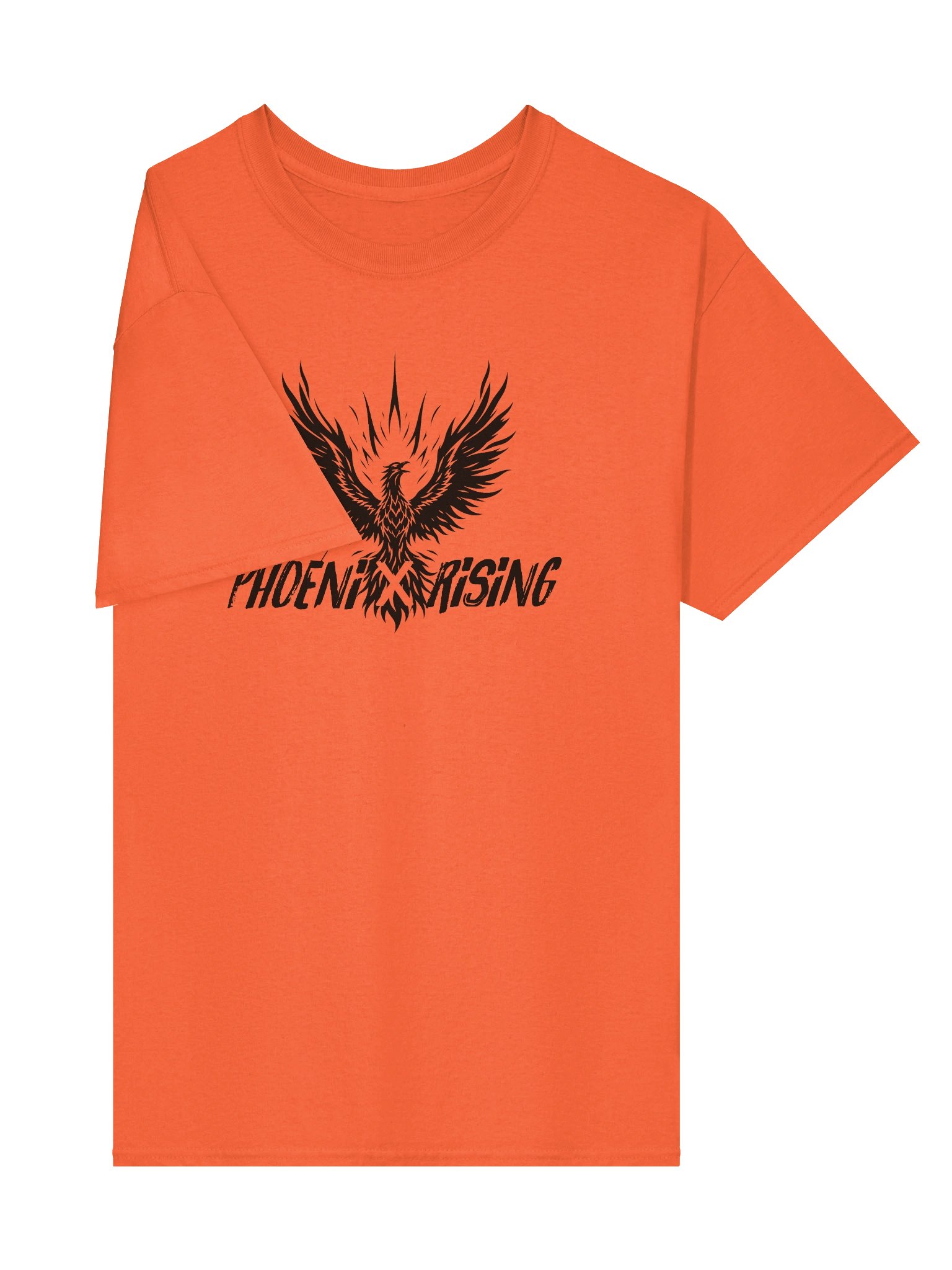 Phoenix Rising Tee product image (124)