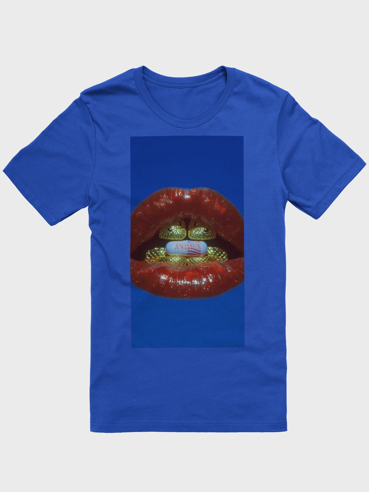 TRUTH - SOFT TSHIRT product image (1)