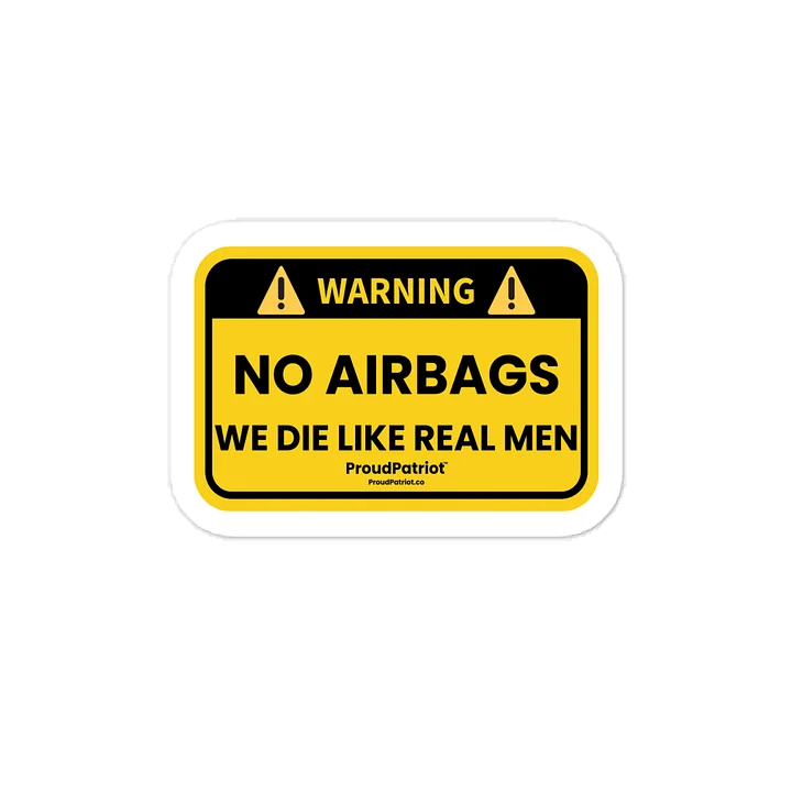 No Airbags Vinyl Sticker product image (1)