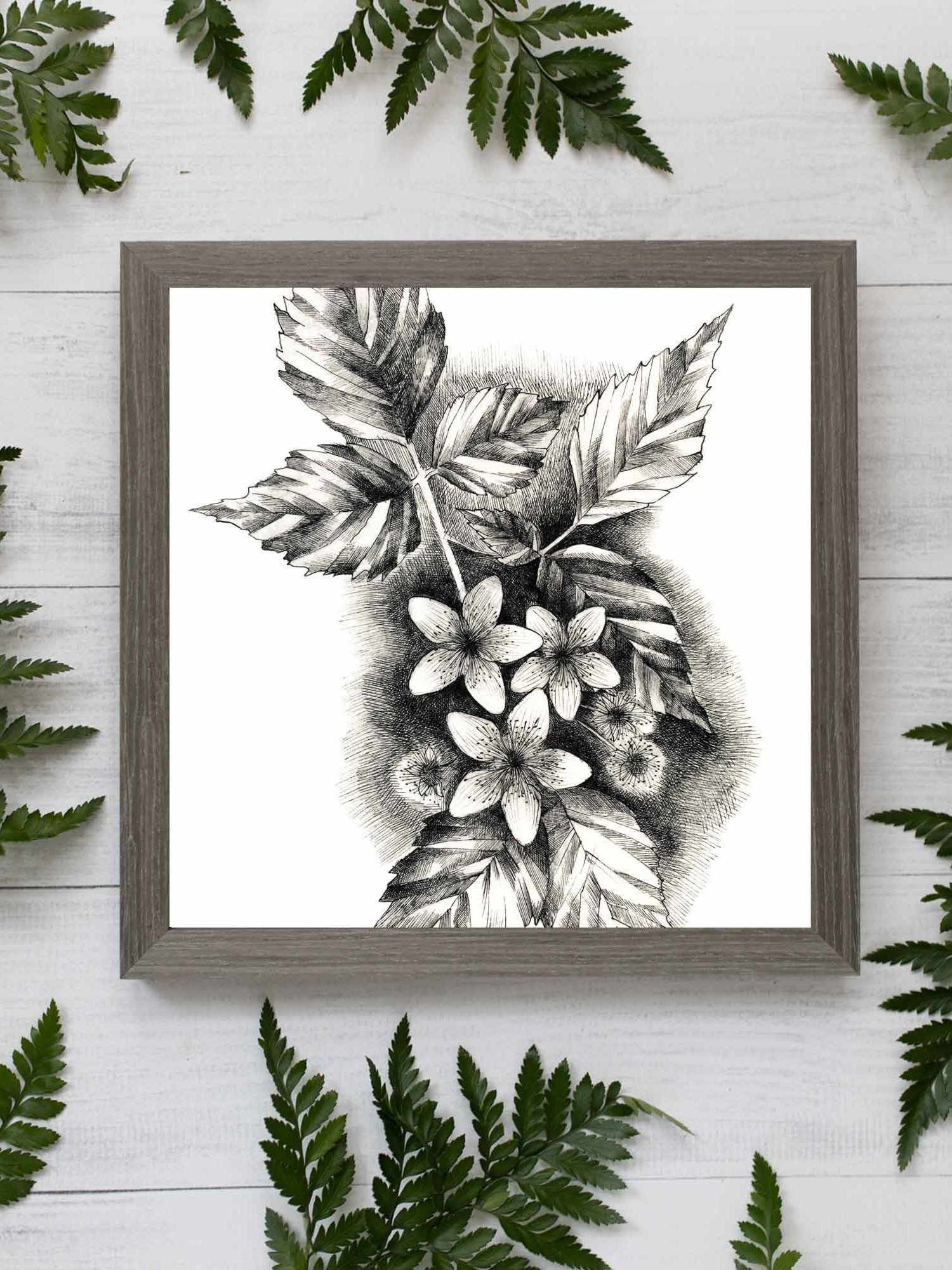 Blank Canvas Masterpieces - Jasmine product image (59)