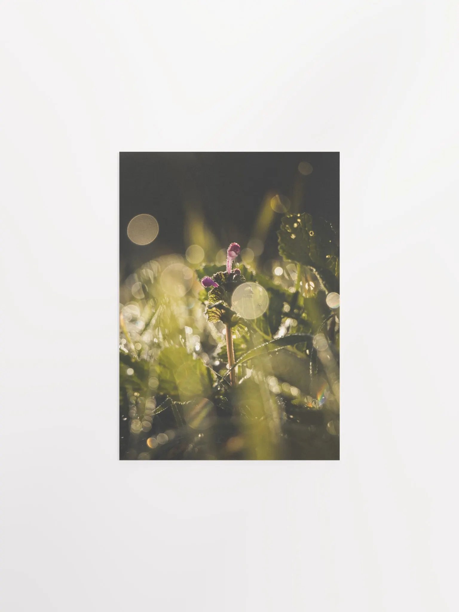 Green Heaven product image (4)