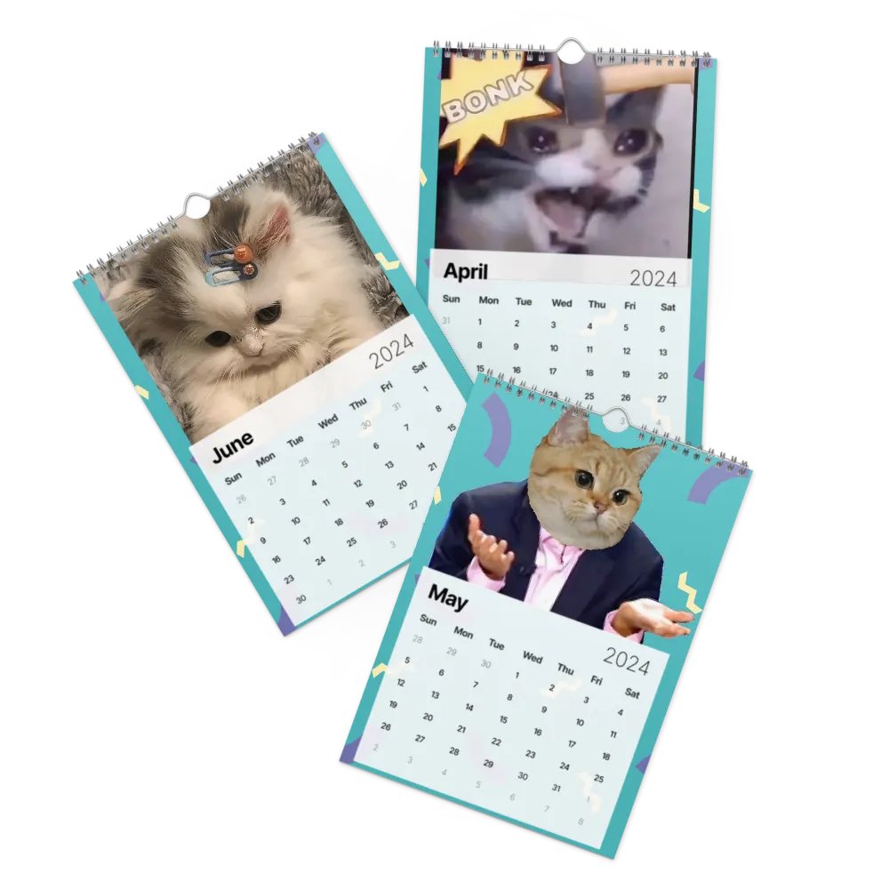 Wall Calendar (2024): Meme Cats product image (3)
