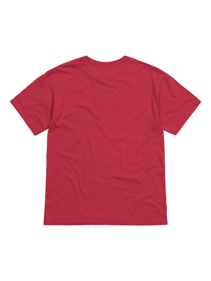F is for fraud garment-dyed heavy weight t-shirt by dark alphabet product image (2)