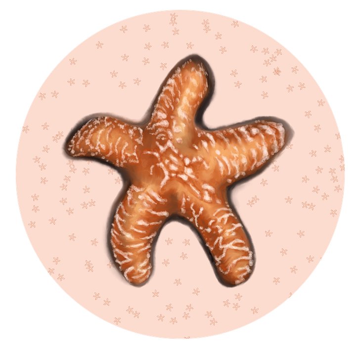 Starfish Sticker product image (1)