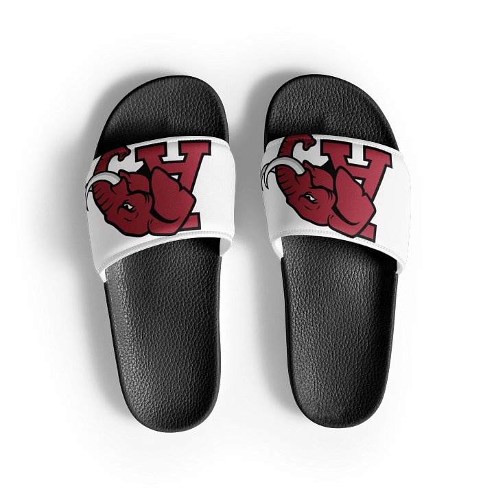 A-stounding Elephant Men's Slides product image (2)
