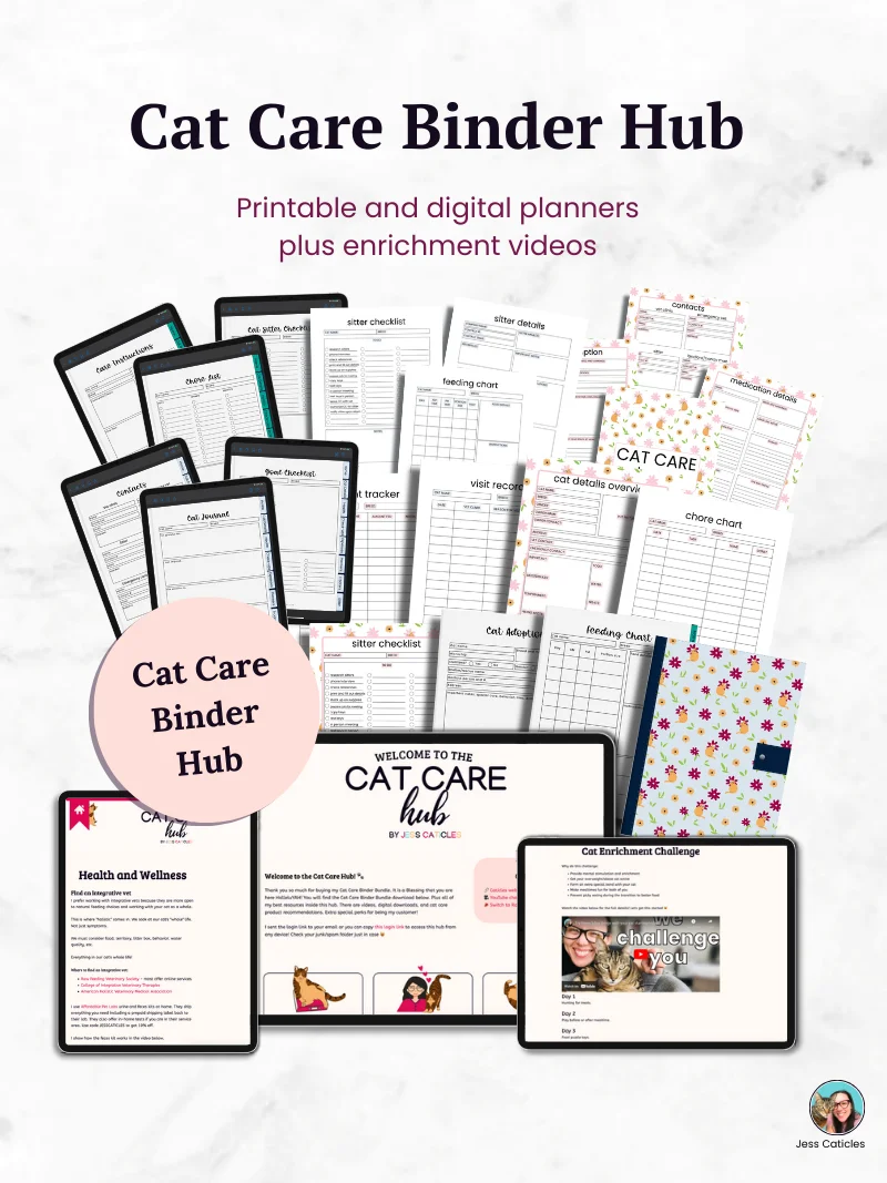 Cat Care Binder Bundle ~ Undated Printable and Digital Planners product image (2)