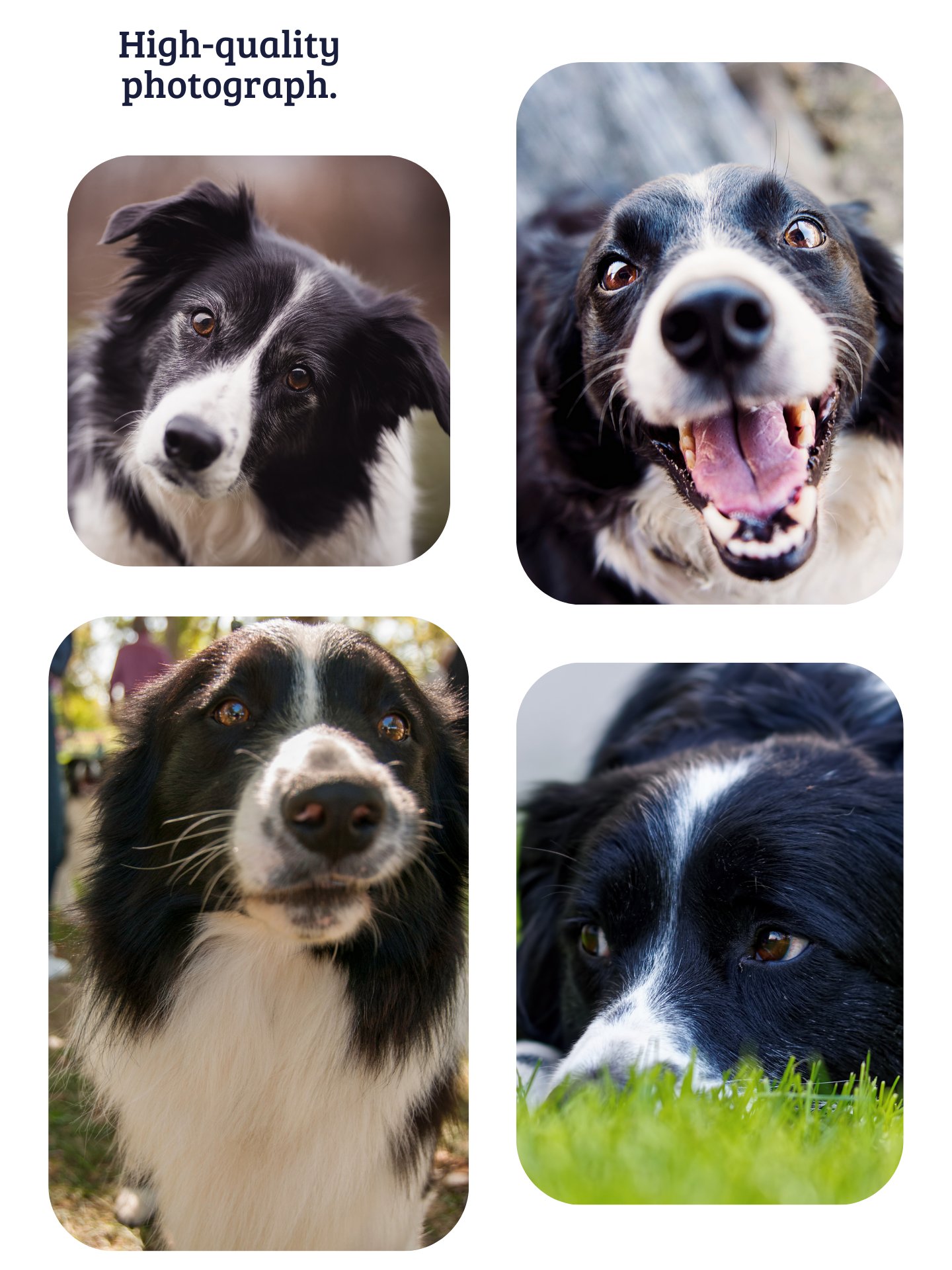YOUR BEST FRIEND! / T-SHIRT WITH PERSONALIZED NAME / DIGITAL ART IV product image (5)