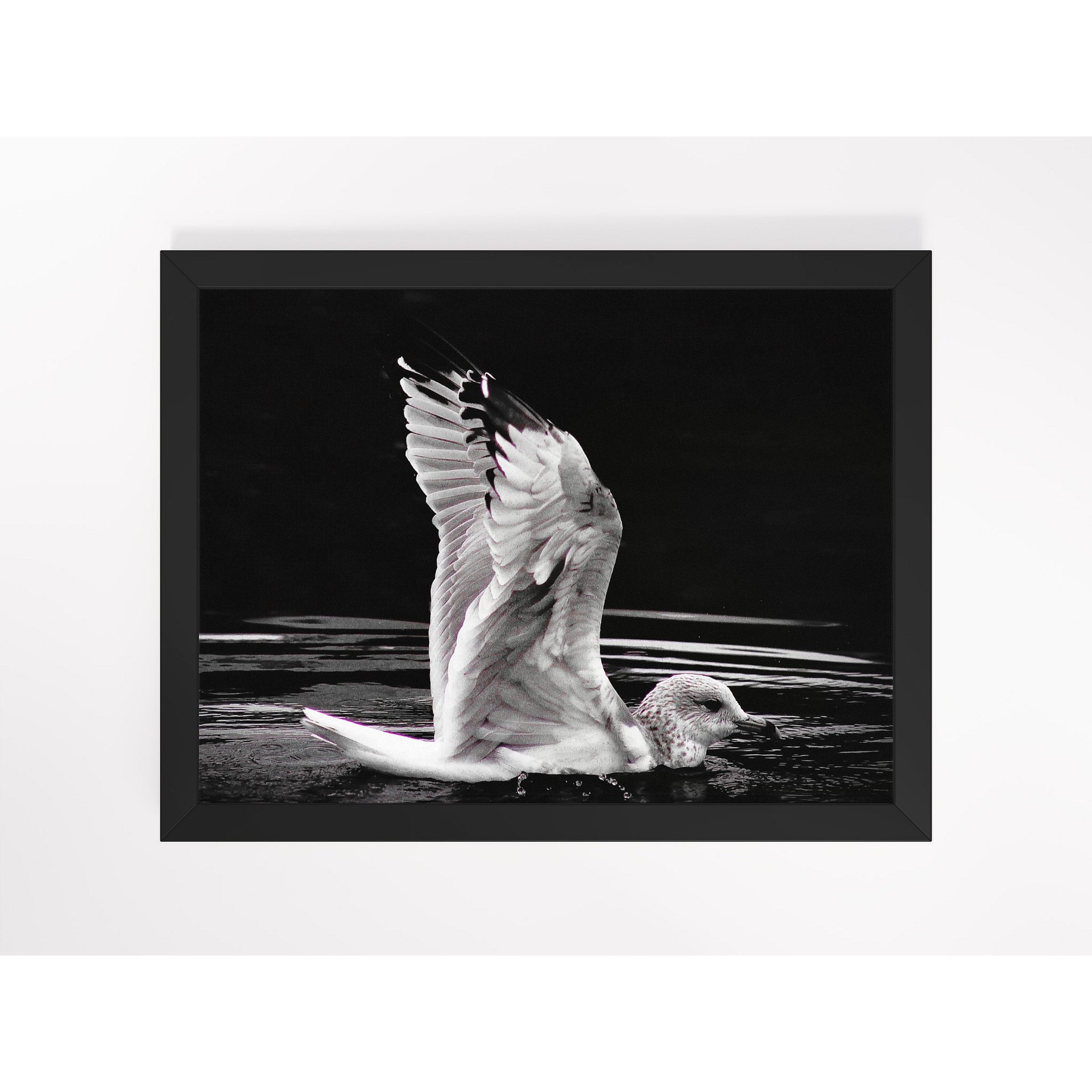 Seagull I Framed Print product image (1)