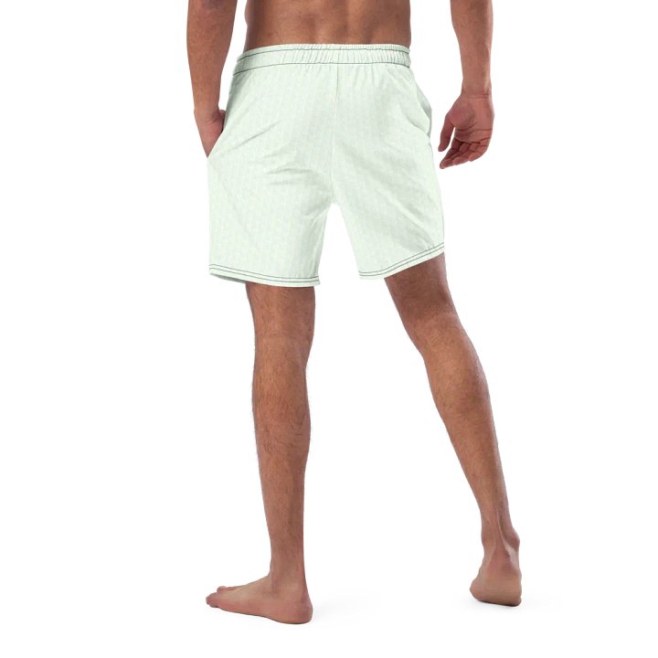 Syn-Stripe Trunks Green/White product image (1)