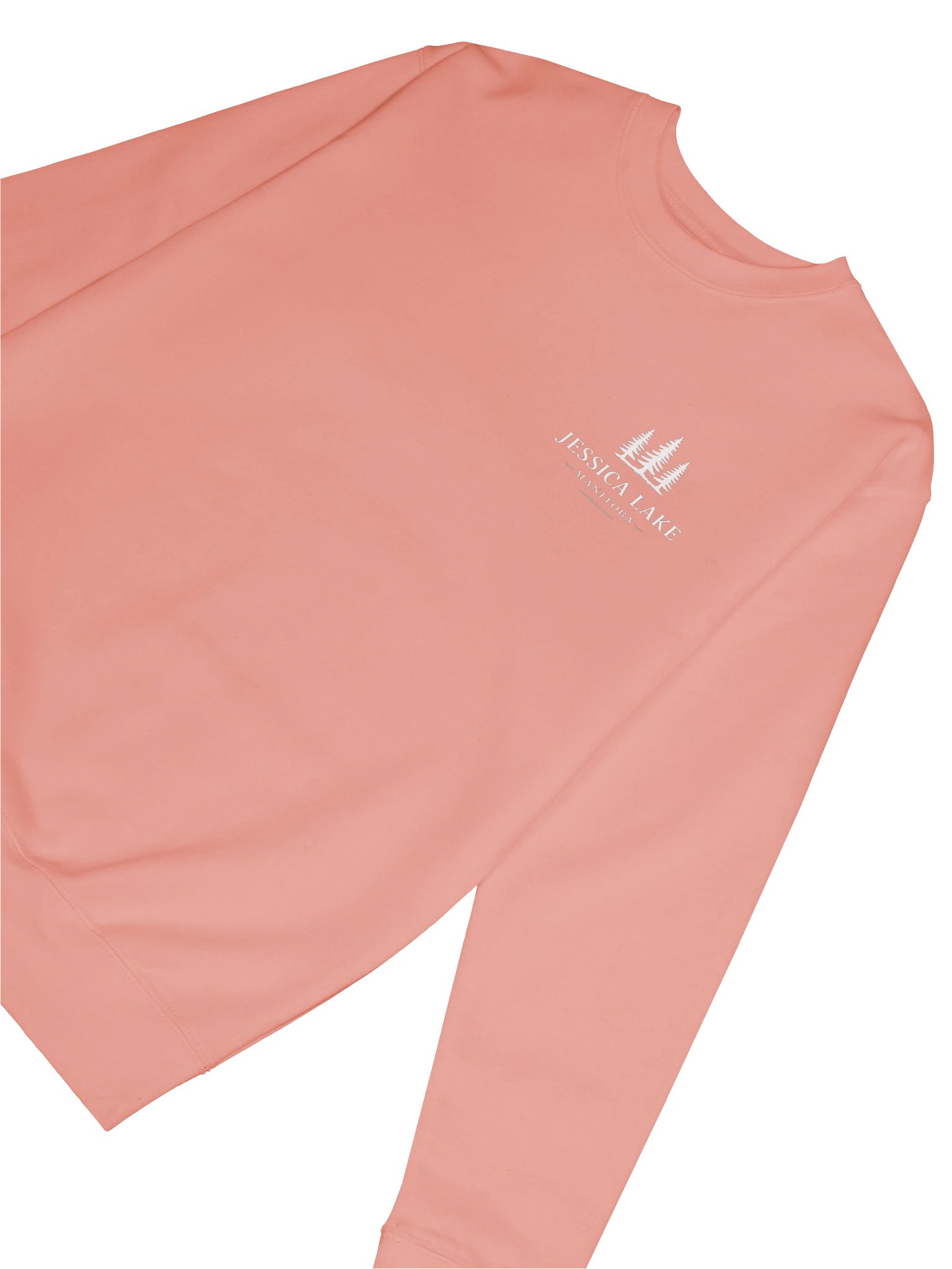 Jessica Lake Manitoba Pine Logo Sweatshirt product image (48)