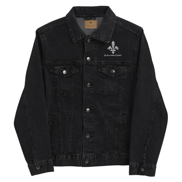 Veste en Jeans | Brodé product image (1)