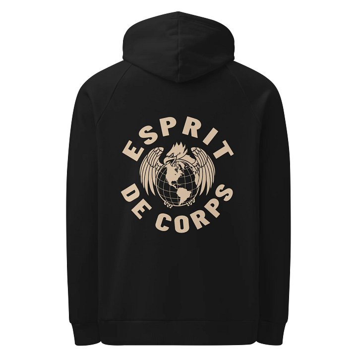 Esprit de Corps x Under Armour Performance Hoodie product image (1)