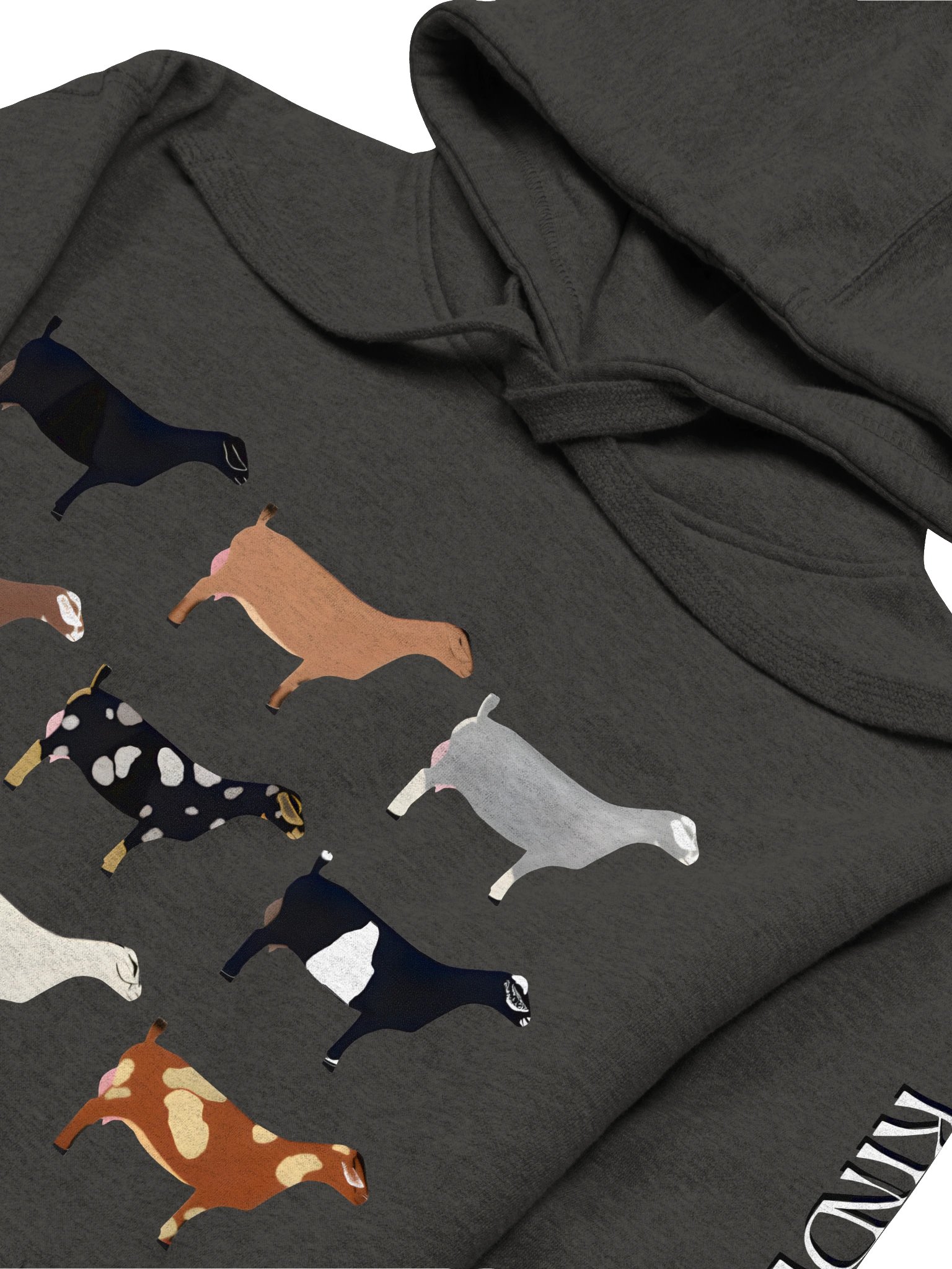 Kinder Kolors Hoodie product image (2)