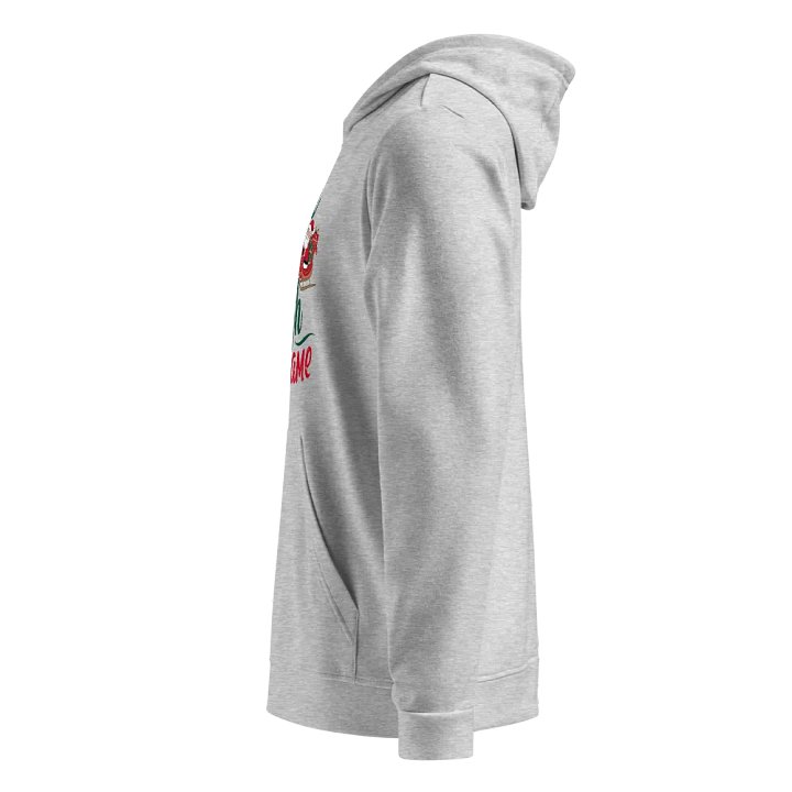 Santa Sleigh Festive Hoodie product image (2)
