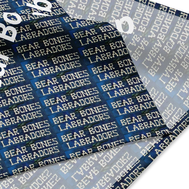 Bandana product image (2)