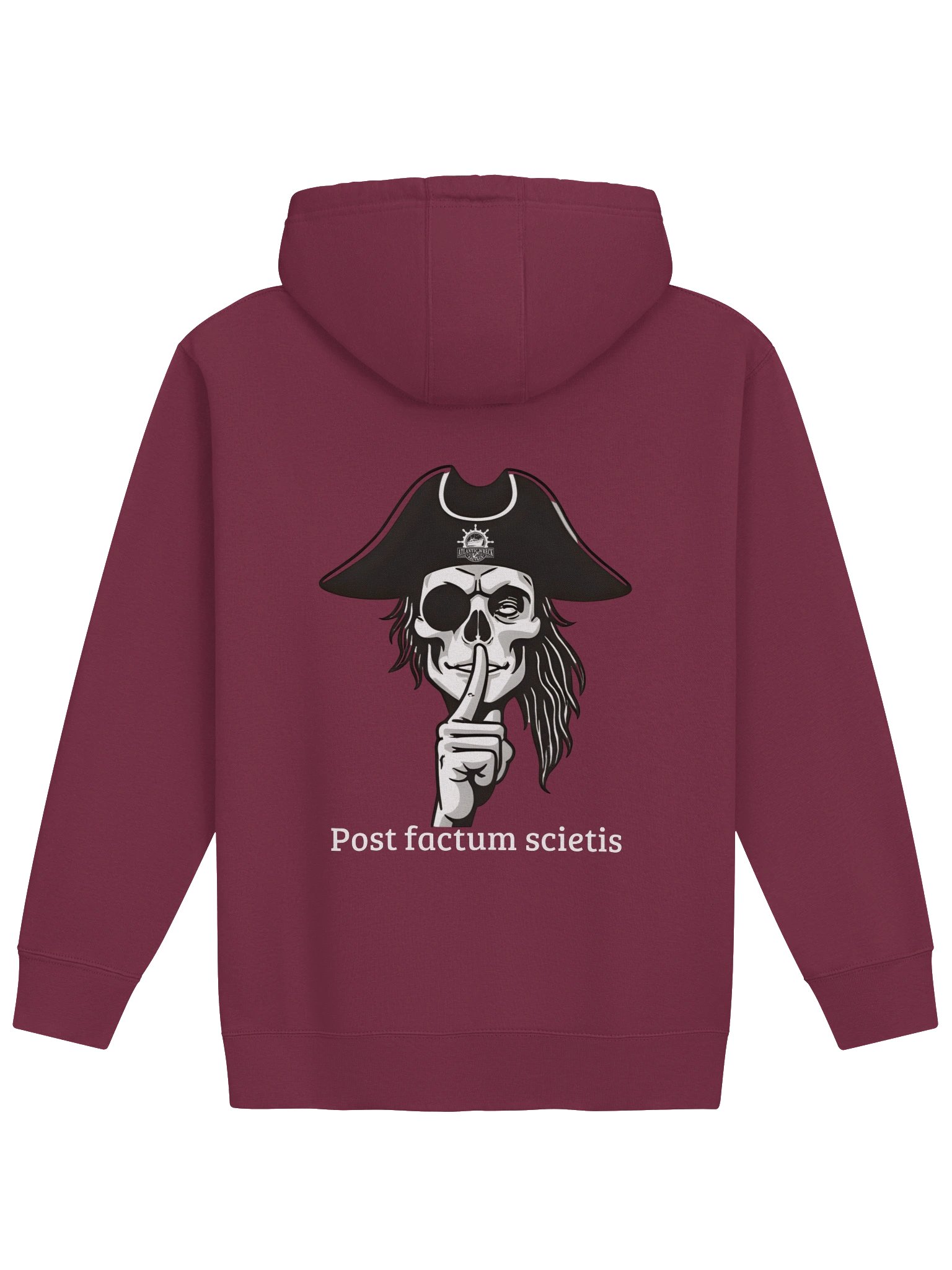 Post Factum Scietis Hoddie product image (7)