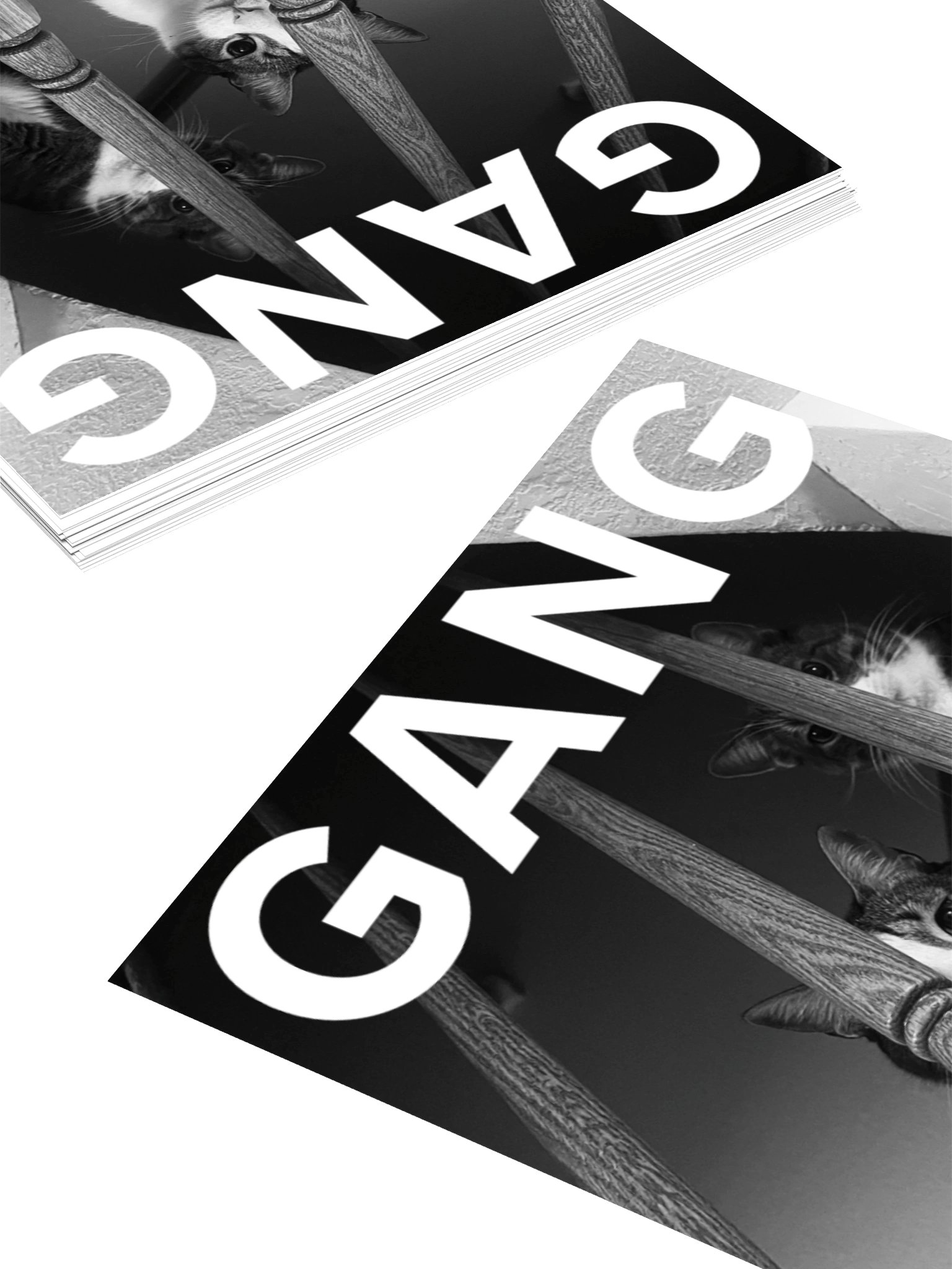 we should start a band product image (4)