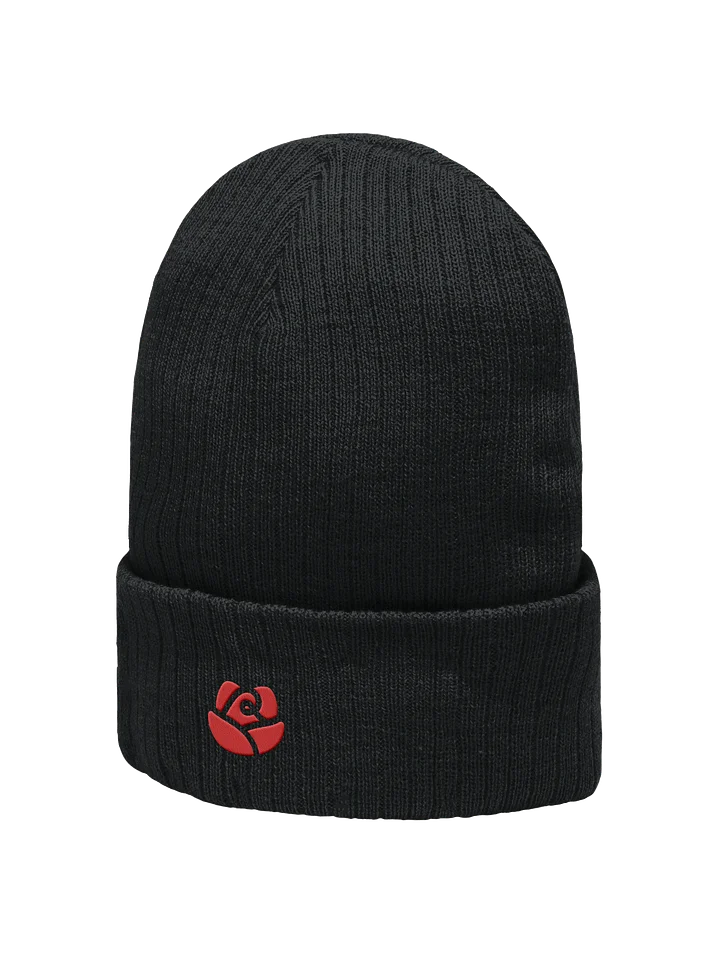 Atlantis Ribbed Knit Beanie product image (8)