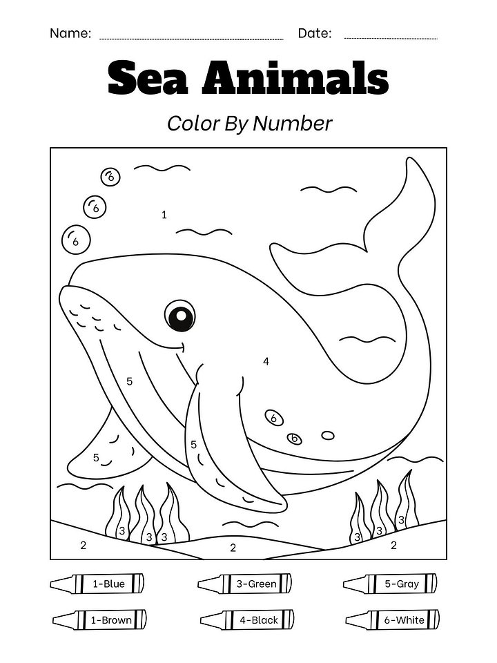 Copy-the-Color: Smart Coloring Book for Kids (Ages 3–8) product image (2)