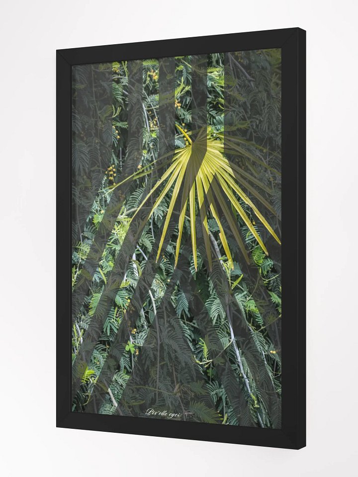GeoGraphik Art Print – Palm Harmony, Rayol Garden product image (4)