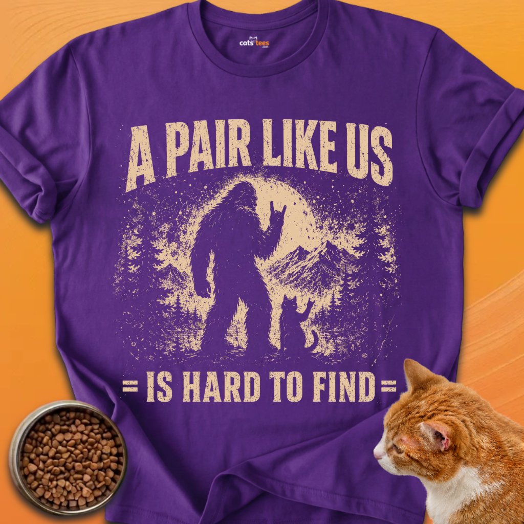 A Pair Like Us product image (11)