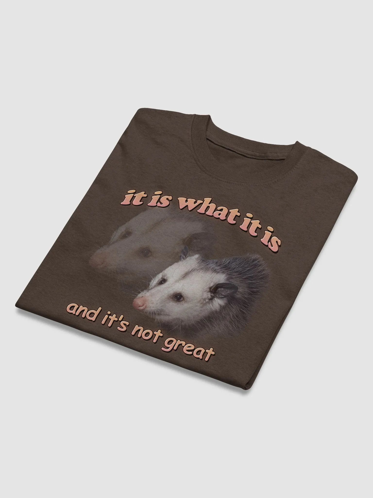 It is what it is (and it's not great) possum T-shirt product image (28)