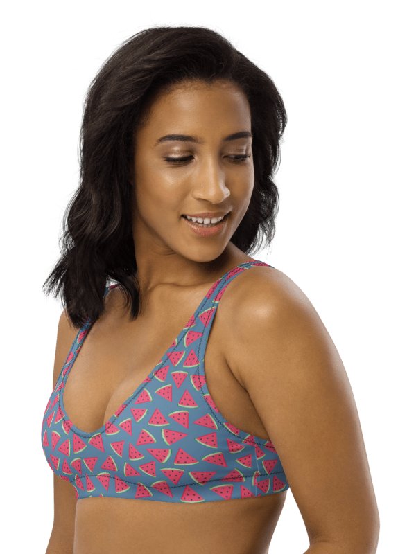 Watermelon Patterns Bikini Top product image (1)