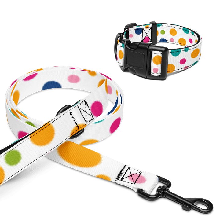 Harmony Hues Pet Collar & Leash Set product image (1)