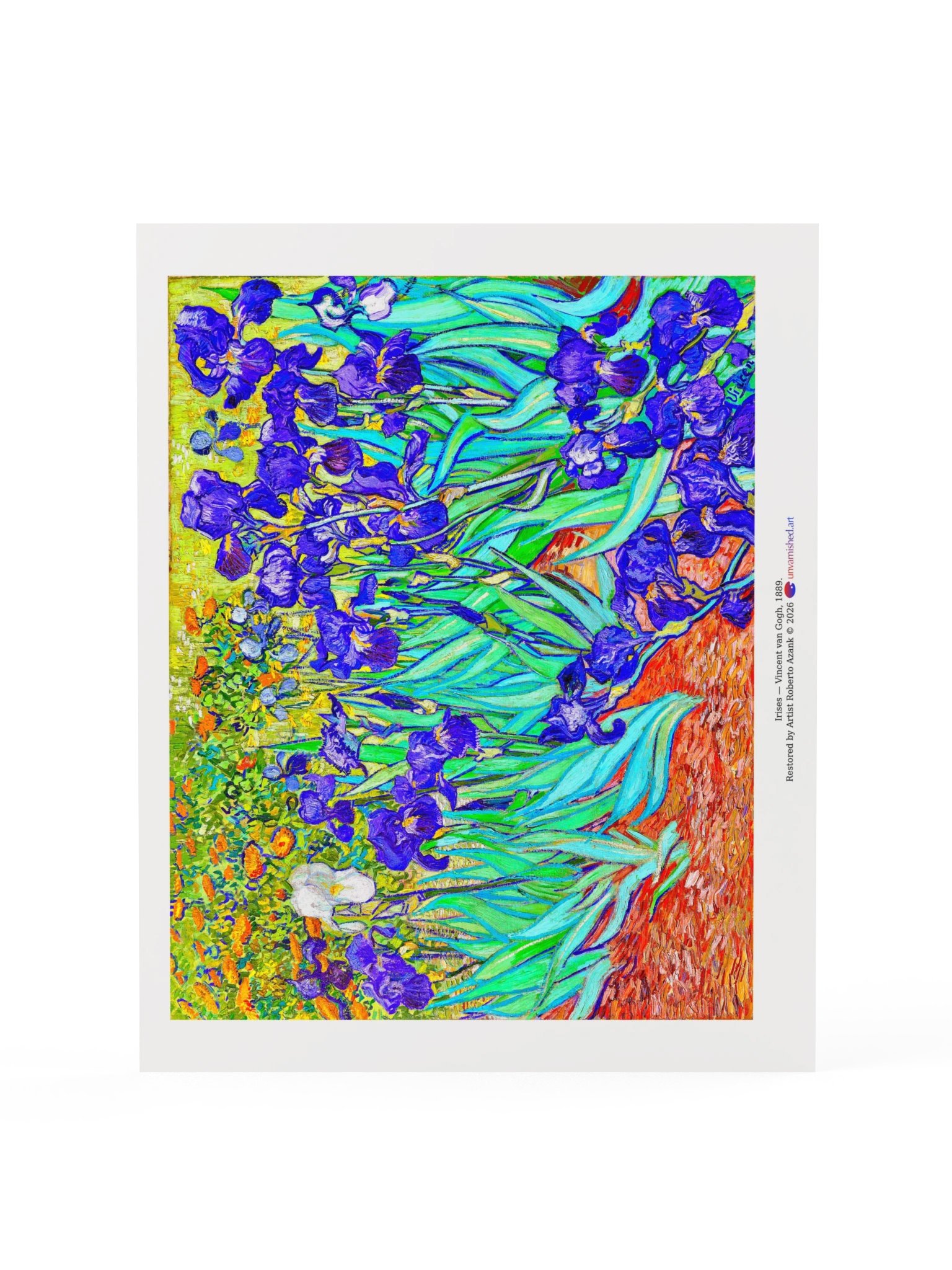 Irises — Poster product image (15)