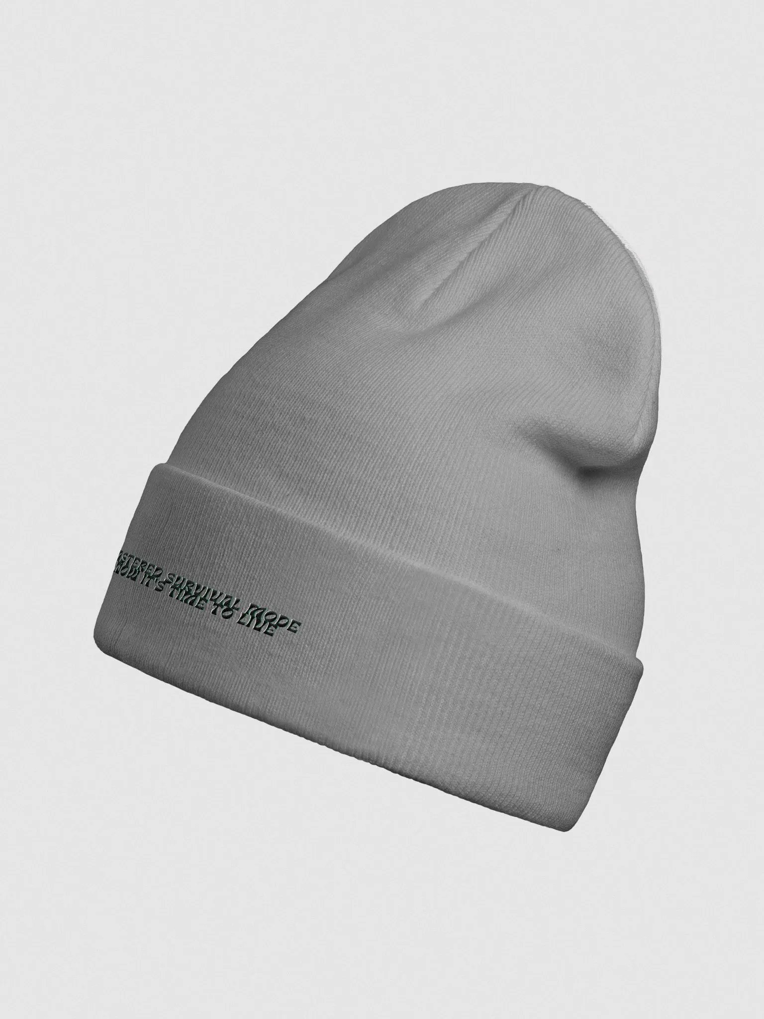 Survival Mode OFF : Knit Beanie product image (3)