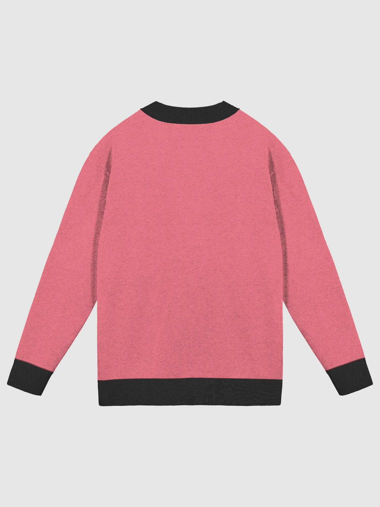 CS Sweater product image (2)
