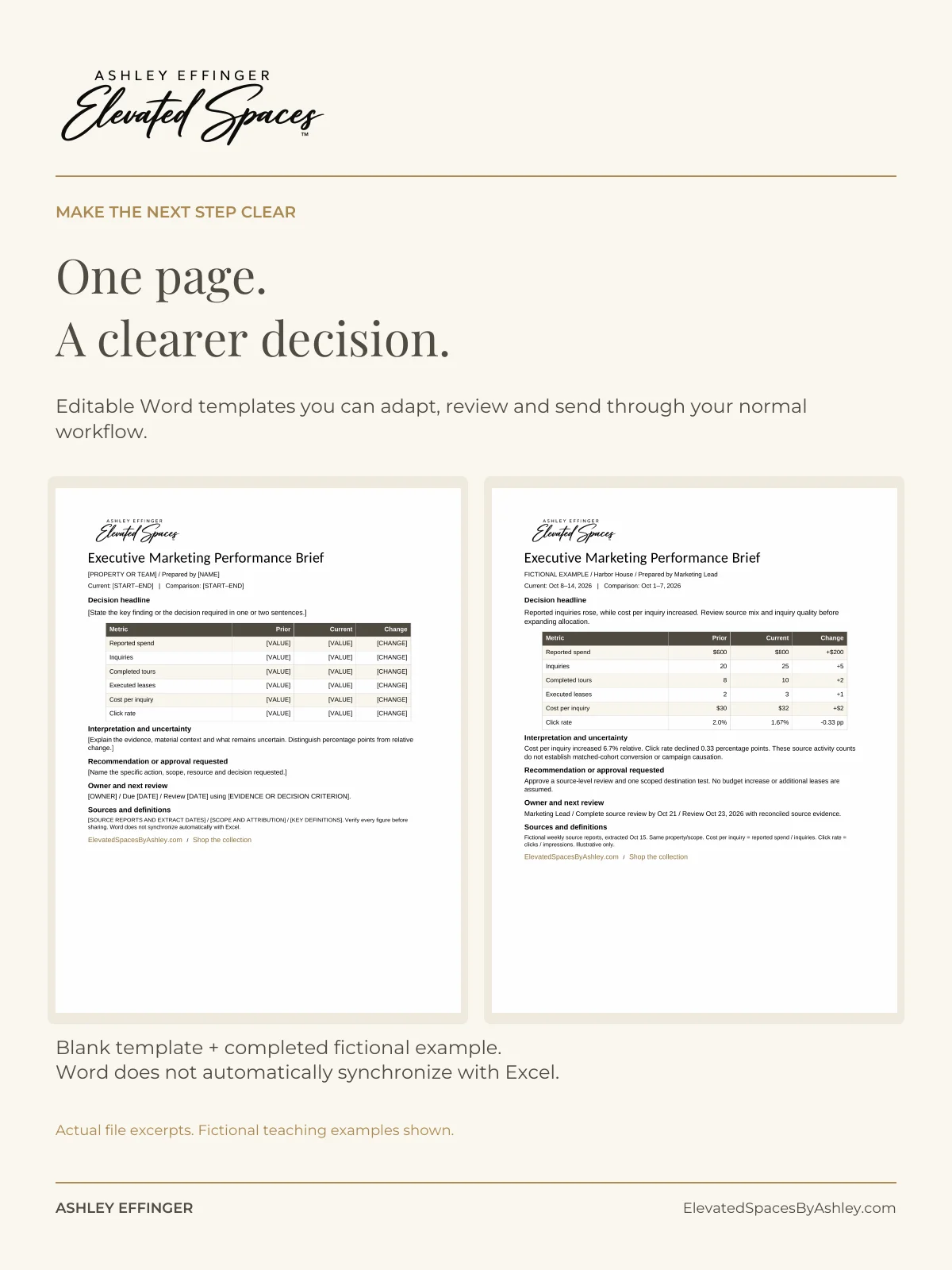 Executive Marketing Performance Brief product image (4)