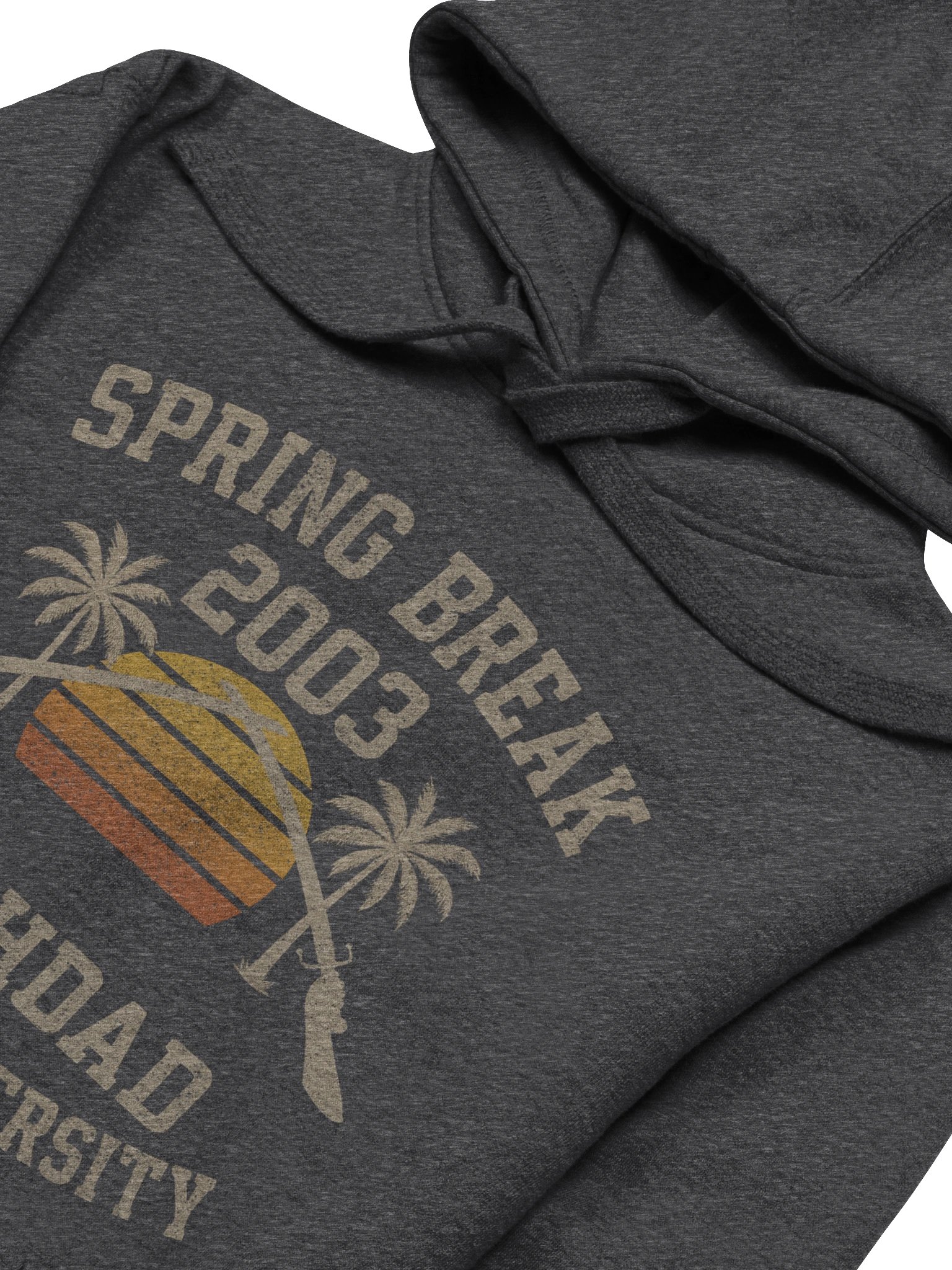 Spring Break 2003 Hoodie product image (3)