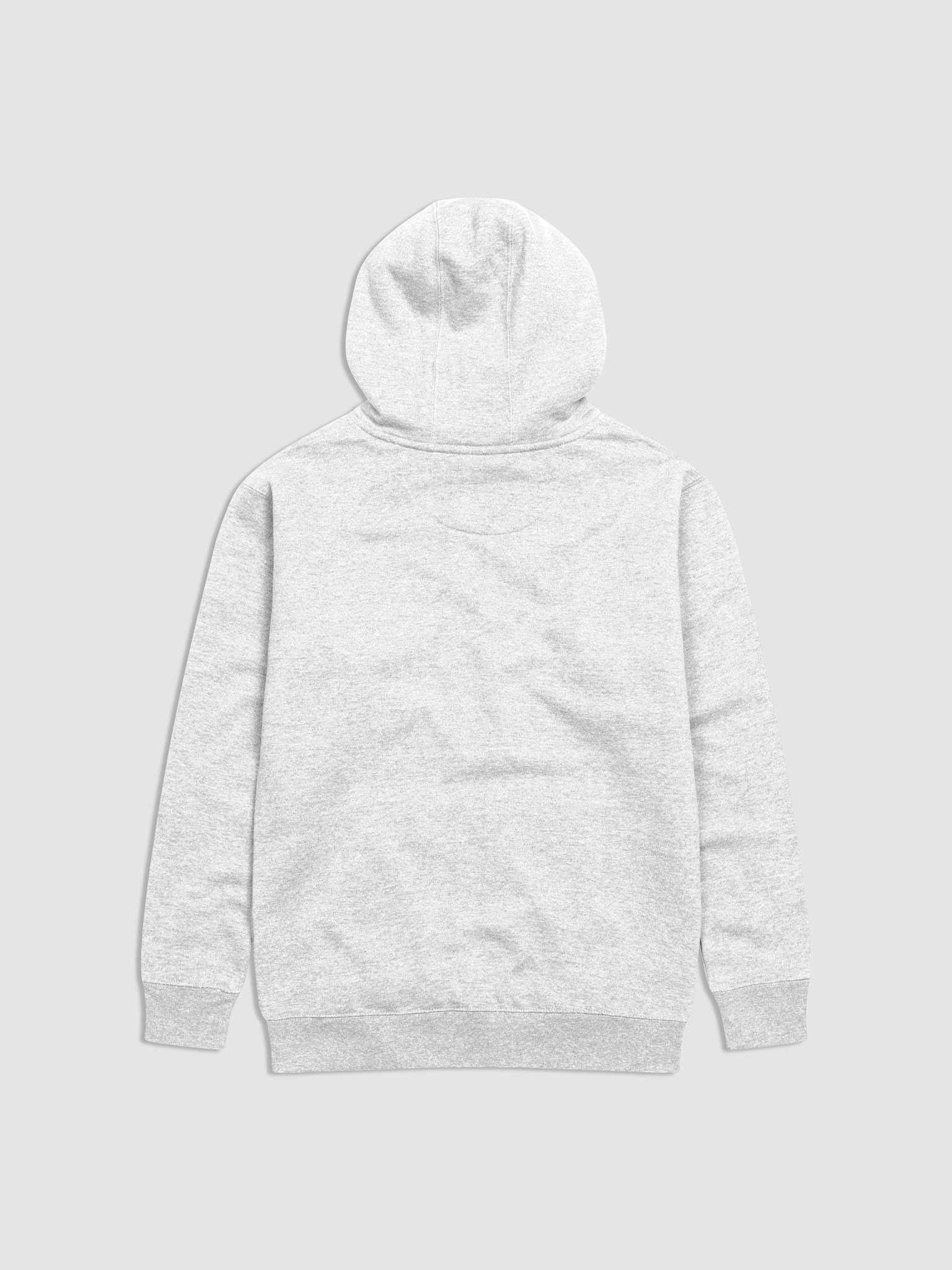 Reason Single Hoodie product image (2)