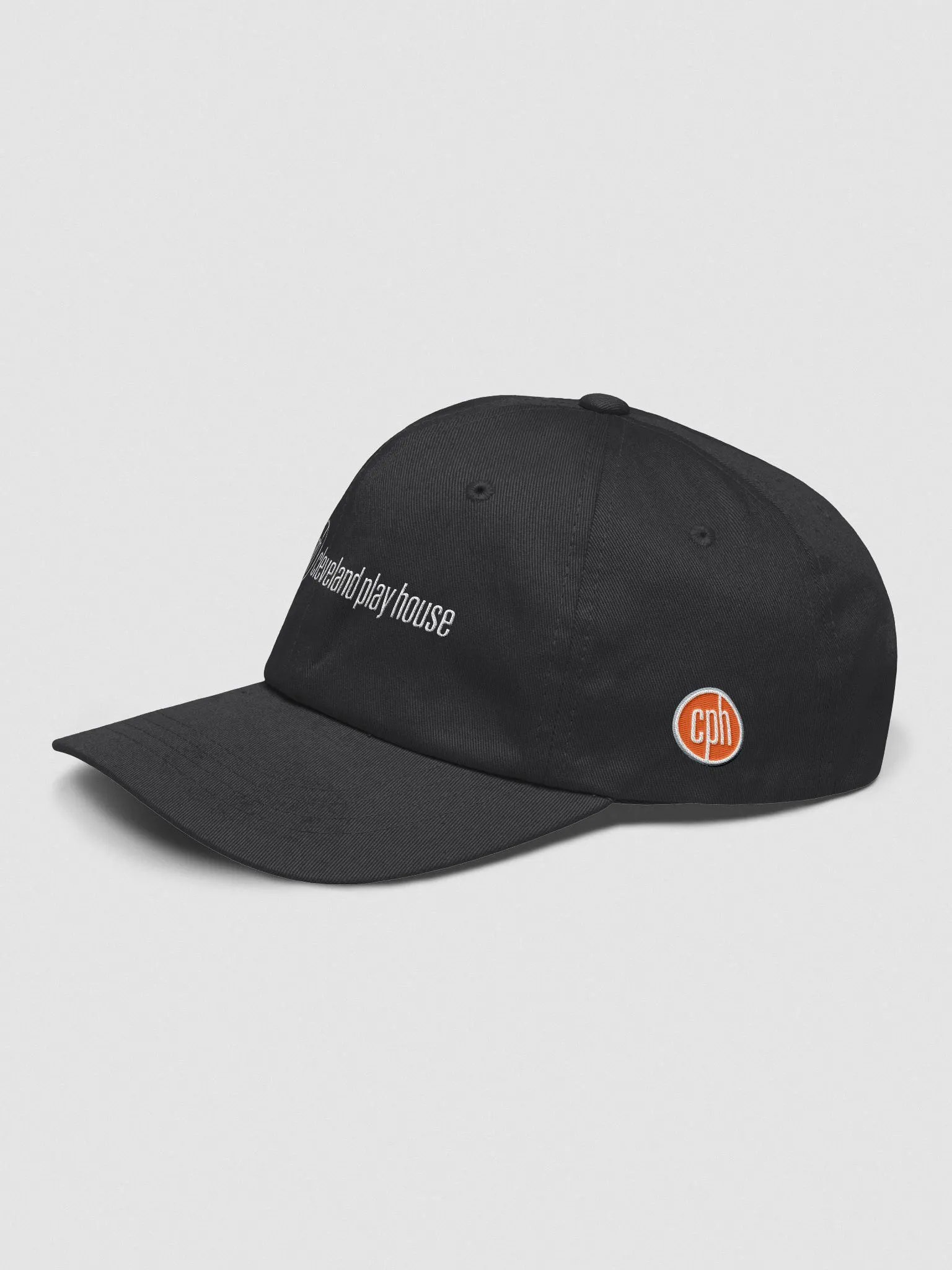 Classic Dad Hat product image (3)