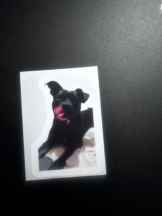 Vinyl Decals and Stickers