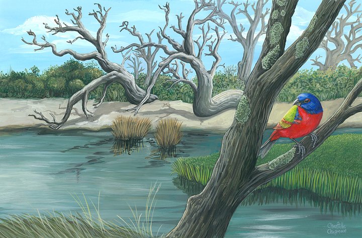 Clam Creek, Jekyll Island - Art Print product image (1)