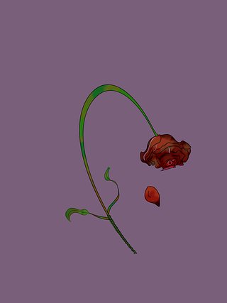 The Wilted Rose