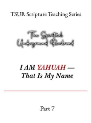 I AM YAHUAH — That Is My Name (Part 7) TSUR Scripture Teaching Series — honoring the true, set-apart Name of YAHUAH. Call on His Name. Worship Him in Spirit and in Truth. AHLELUYAH. #TSUR #WorshipYAHUAH #ScriptureTeaching #NoOtherName #AHLELUYAH