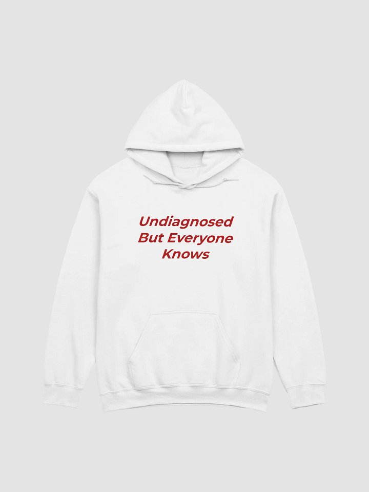 Undiagnosed But Everyone Knows Hoodie product image (1)