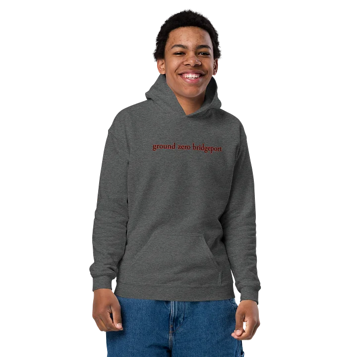 kids classic hoodie product image (3)