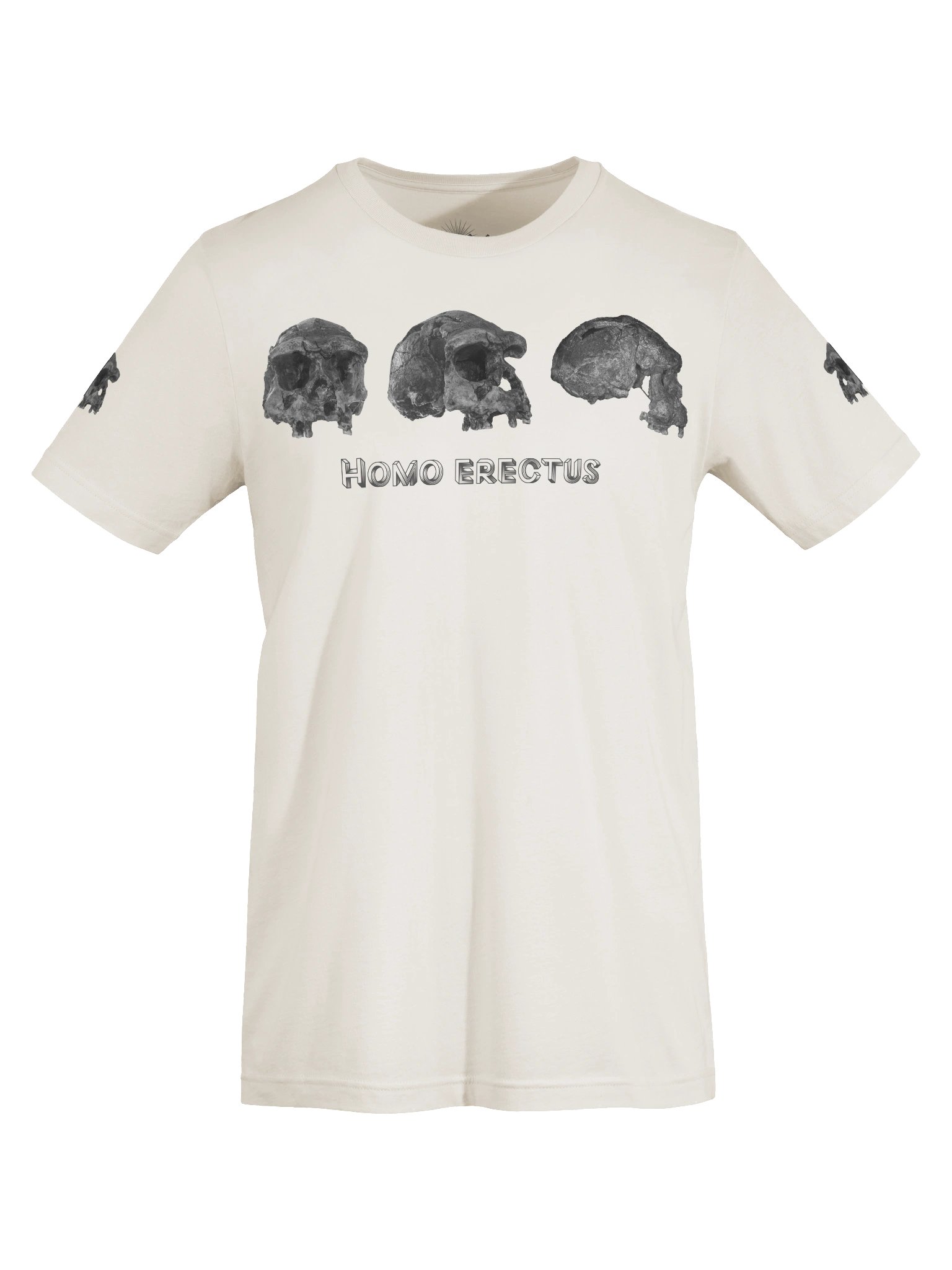 Erectus Fossil Skull T-Shirt Light product image (42)