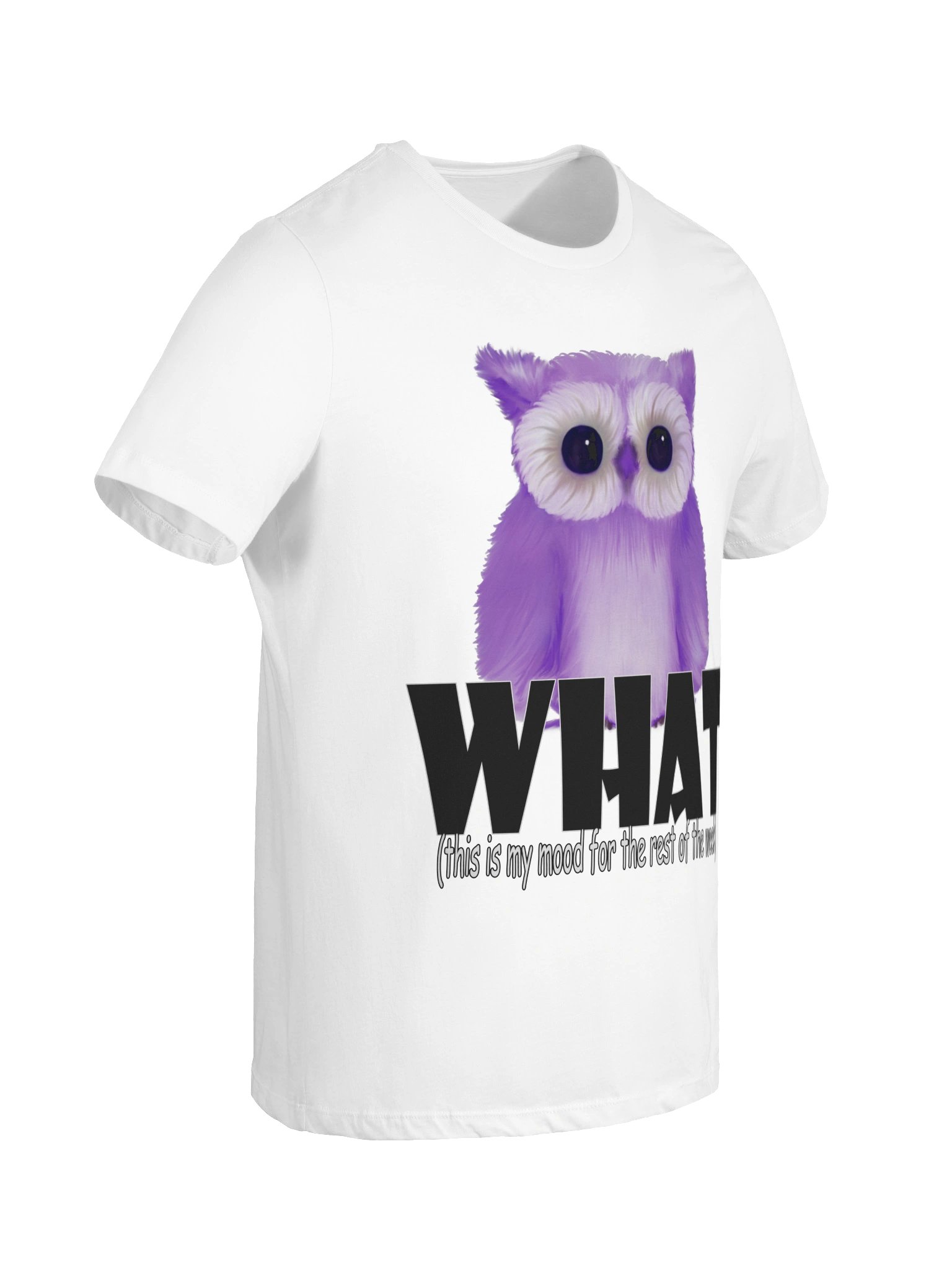 Owl "WHAT" T-Shirt. Women's Bella+Canvas Supersoft Relaxed-fit T-Shirt product image (5)