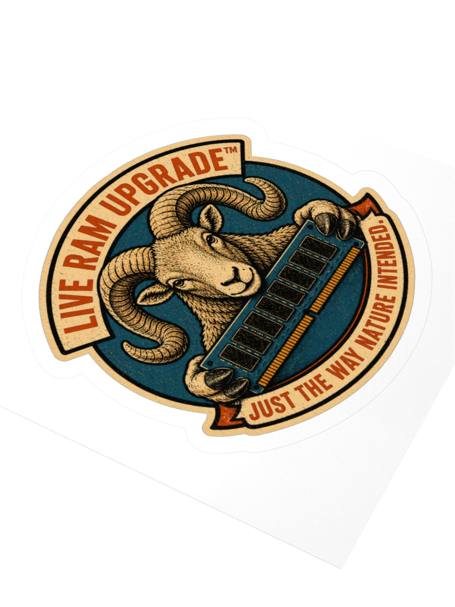 Live RAM Upgrade product image (5)