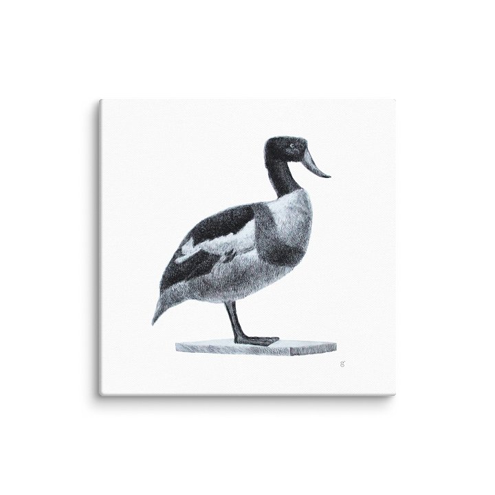Blank Canvas: Unleash Your Artistic Vision - Duck product image (1)