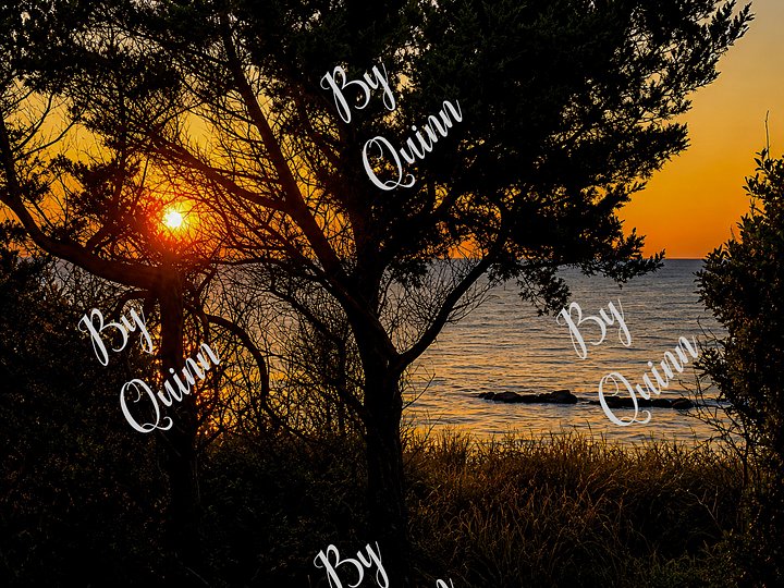 Before the Light Fades - Canvas product image (6)