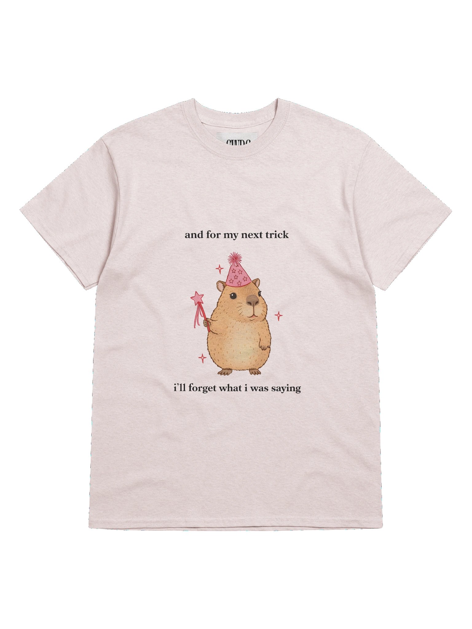 Magic Cabybara product image (5)